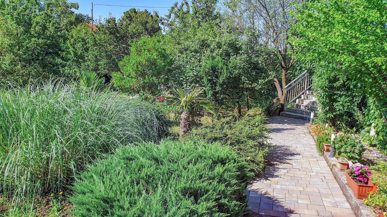 Apartamento Marinici - With Private Parking